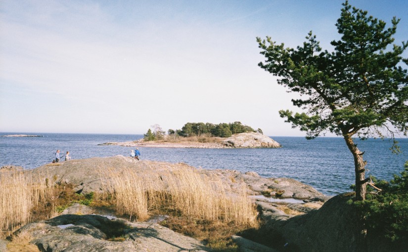 Lunchkonzert, Art Week, Dodgeball, Tyresta, …